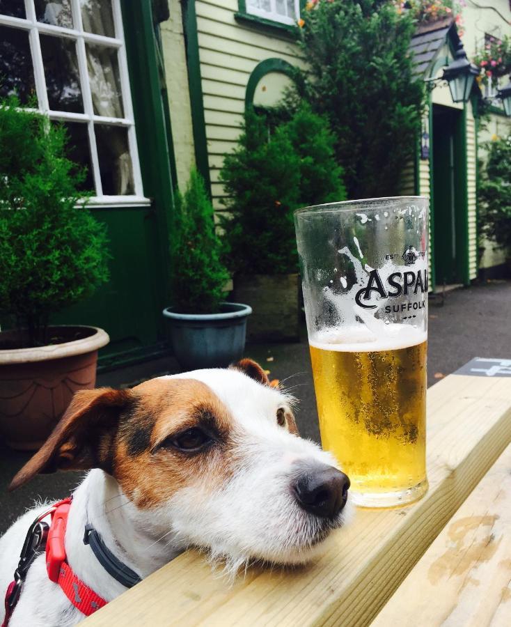 The New Forest Inn Lyndhurst Esterno foto
